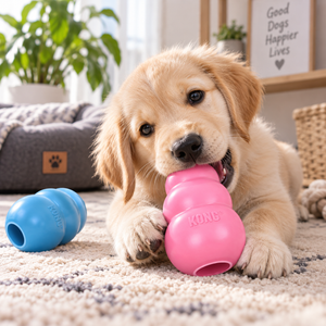 KONG Puppy – Valpeleke