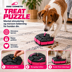 Dog Comets Treat Puzzle – Rosa