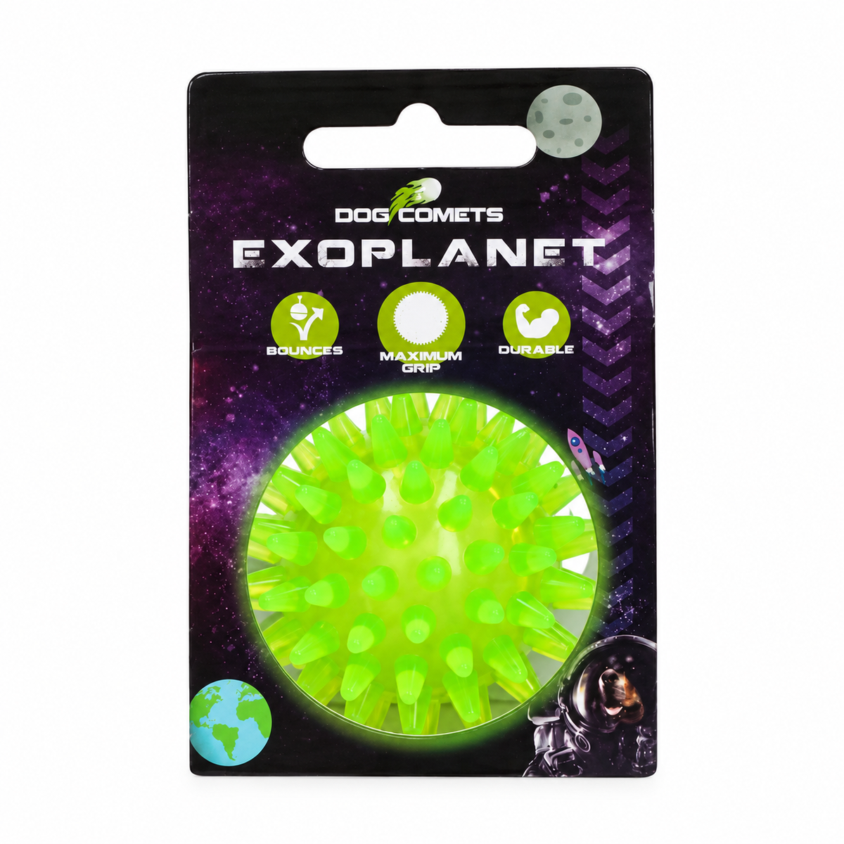 Dog Comets Exoplanet Piggball S