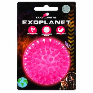 Dog Comets Exoplanet Piggball M
