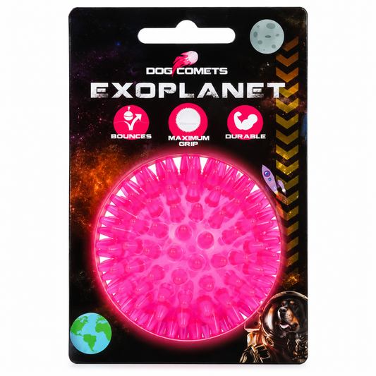 Dog Comets Exoplanet Piggball M