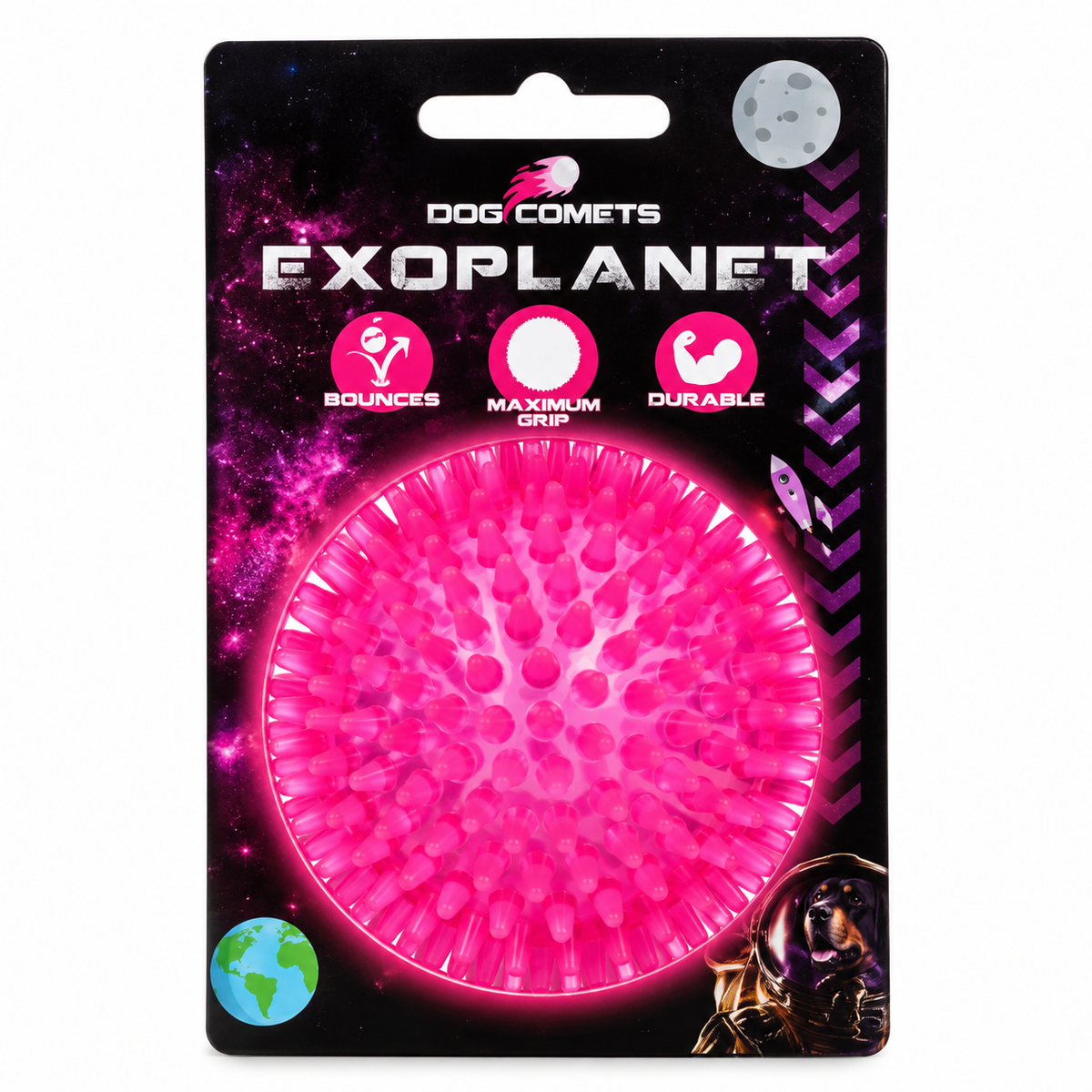 Dog Comets Exoplanet Piggball L
