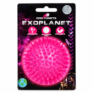 Dog Comets Exoplanet Piggball L