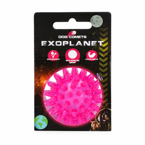 Dog Comets Exoplanet Piggball S