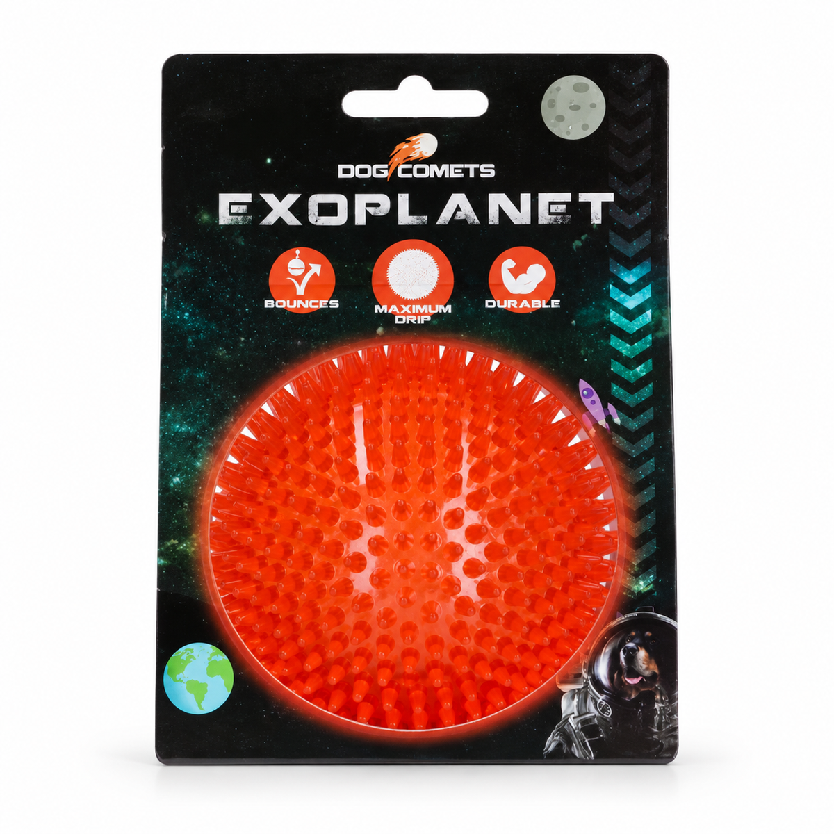 Dog Comets Exoplanet Piggball L