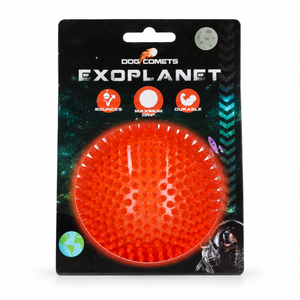 Dog Comets Exoplanet Piggball L