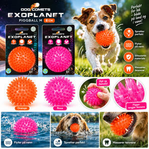 Dog Comets Exoplanet Piggball M