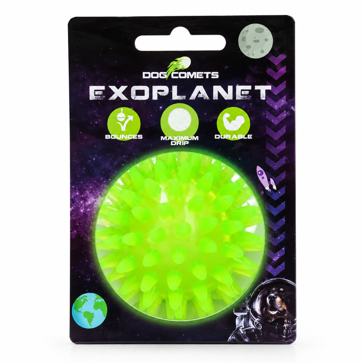 Dog Comets Exoplanet Piggball L