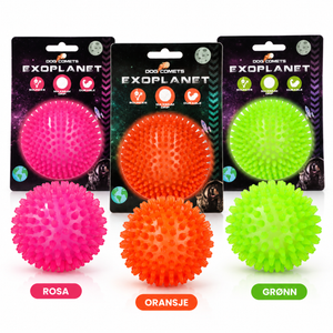 Dog Comets Exoplanet Piggball L