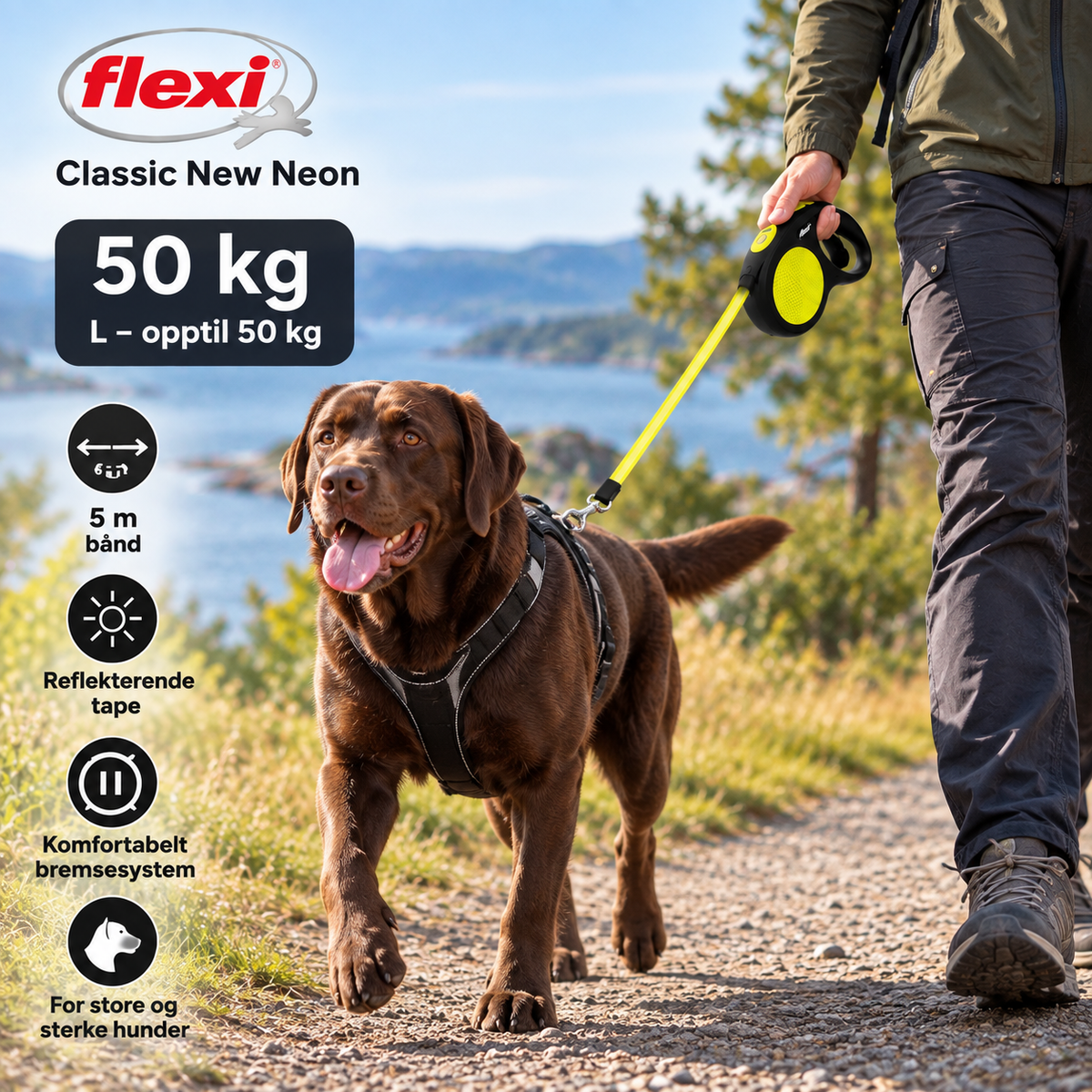 Flexi New Neon Tape 5 m