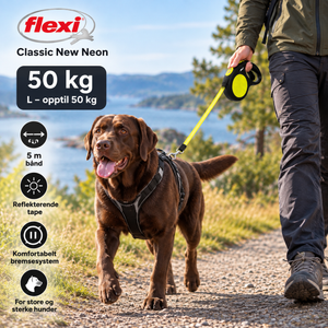 Flexi New Neon Tape 5 m