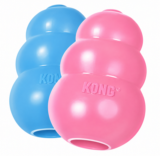 KONG Puppy – Valpeleke