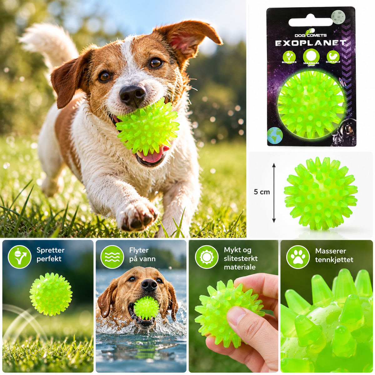 Dog Comets Exoplanet Piggball S
