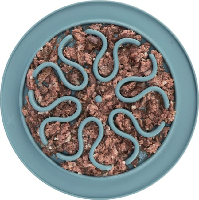 Slow Feeder Dog Bowl – Silicone Labyrinth (24 cm)
