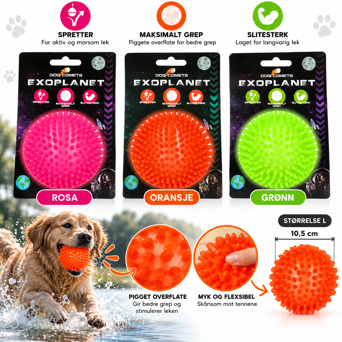 Dog Comets Exoplanet Piggball L