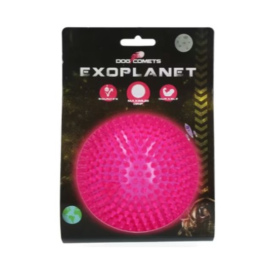 Dog Comets Exoplanet piggball L rosa