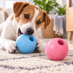 KONG Puppy Ball S – Med Hull