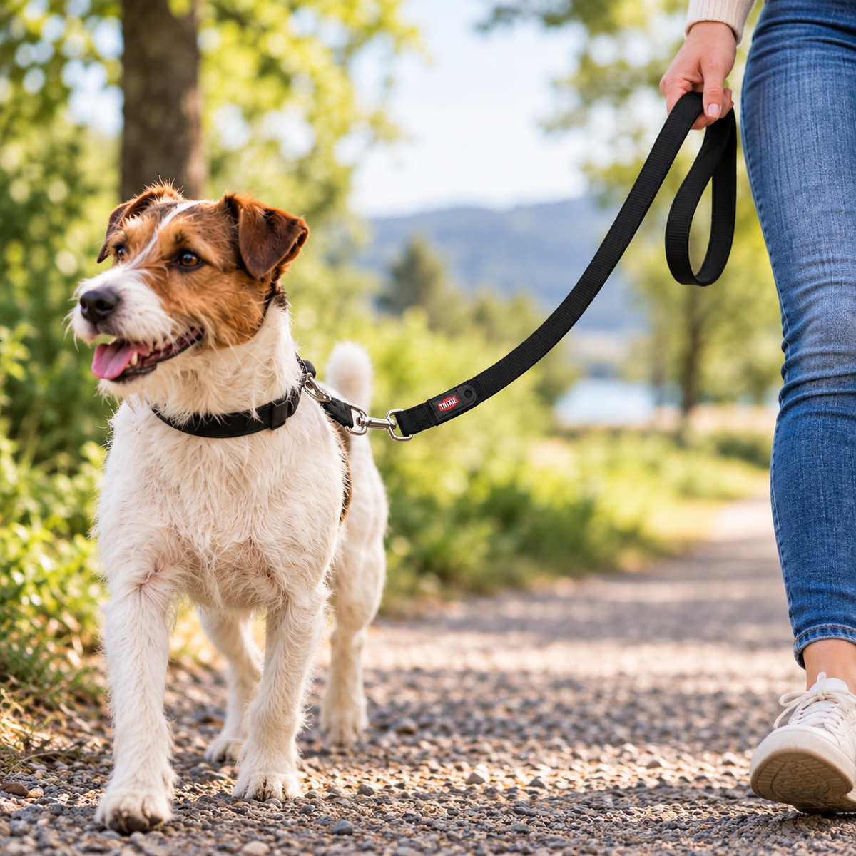 Trixie Premium Hundekobbel – 1,20 m / 15 mm