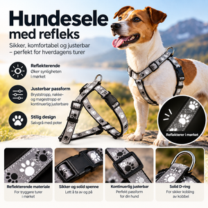 Trixie Silver Reflect H-Hundesele – Grå med poter